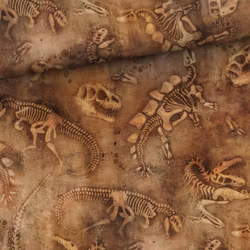 Joggingtyg Dinofossil