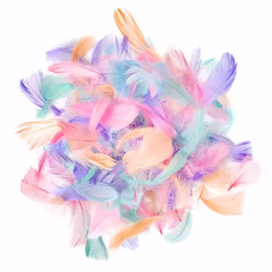 Fjädrar - Macaron (10 g)