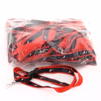 Keychains  - Japan racing