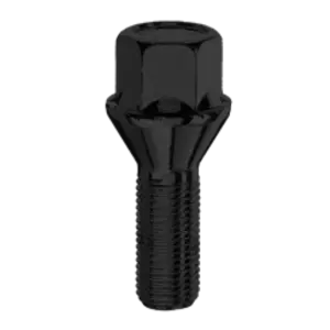 Lukket Bolt (Svart) M12X1.25X24 17 mm 60°