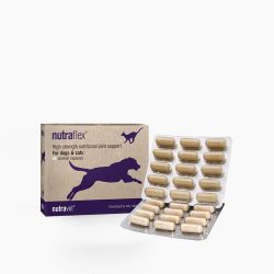 nutravet® nutraflex 60 kapslar