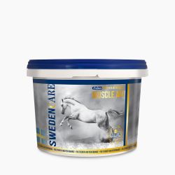 NutriScience MuscleAid