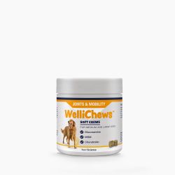 WelliChews™ Joints & Mobility Soft Chew