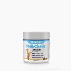 WelliChews™ Multivitamin Soft Chews
