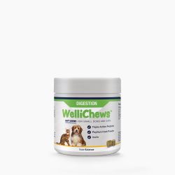 WelliChews™ Digestion Soft Chews