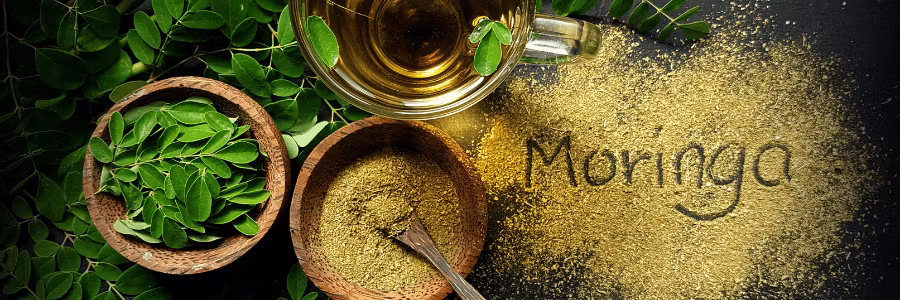 Moringa for hår – naturens mirakeltre for sunt og sterkt hår