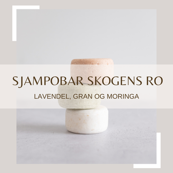Sjampobar Skogens ro, lavendel, gran og moringa