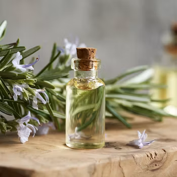 Rosmarin hårvann, til hår og hodebunn