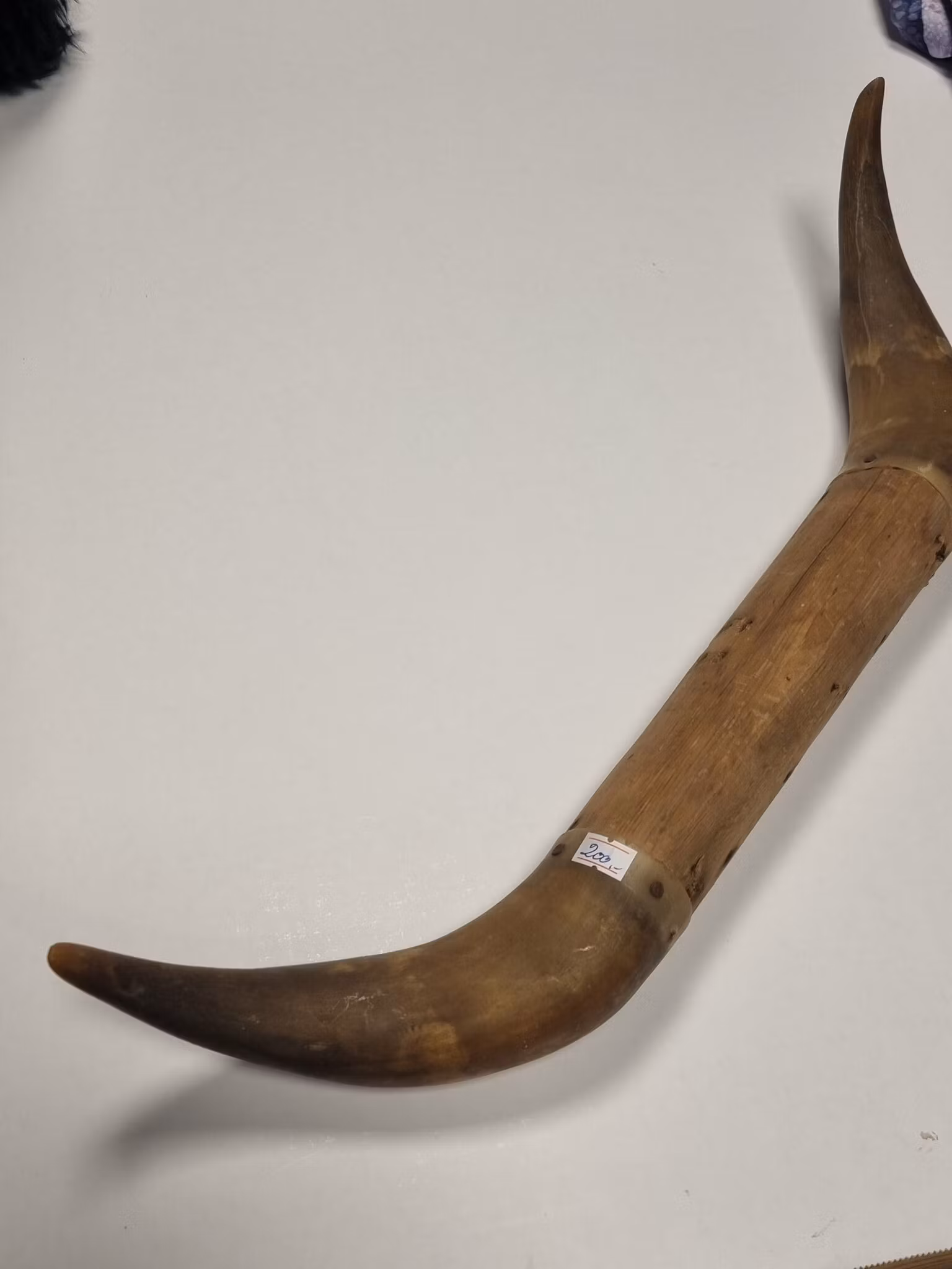 Horn