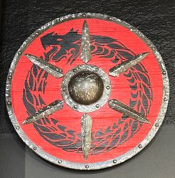 Viking Skjold