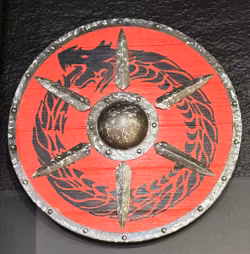 Viking Skjold