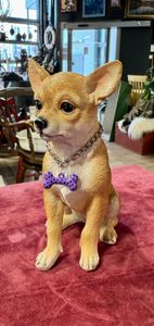 Chihuahua