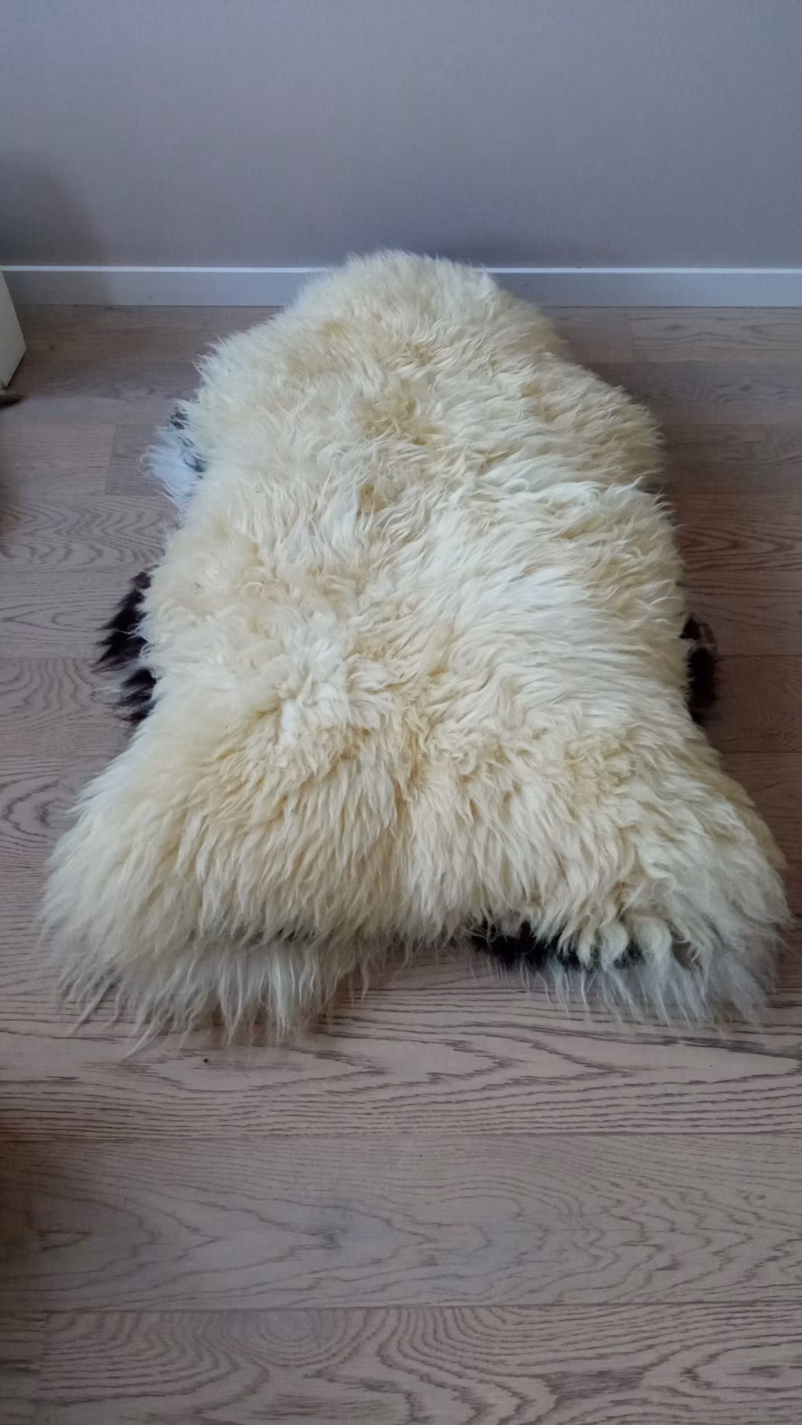 Store hvite skinn  xxxl