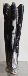 Orthoceras Fossil tårn.