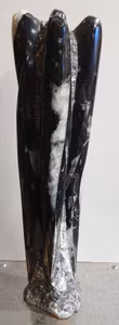 Orthoceras Fossil tårn.