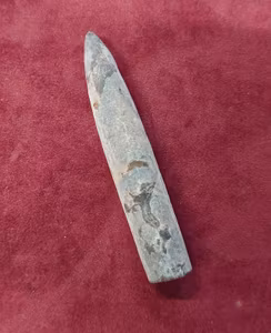 Belemnite Fossil