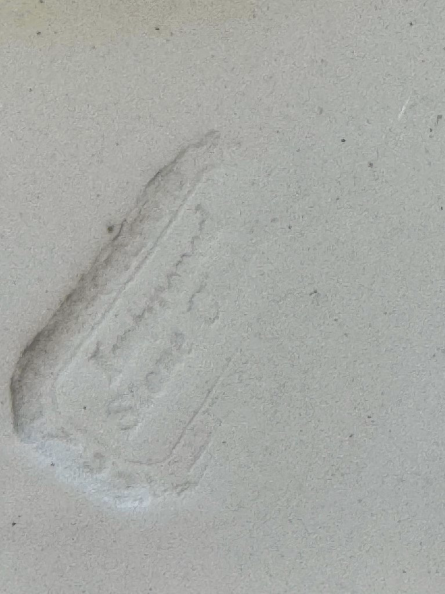 Staffordshire blått og hvitt "siciliansk"