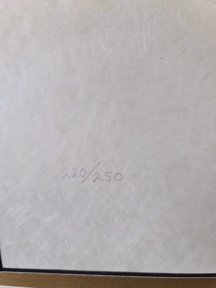 Salvador Dali litografi