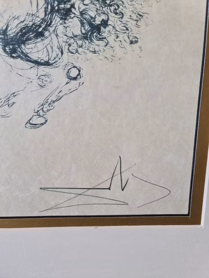 Salvador Dali litografi