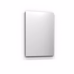 Svedbergs spegel tived 55