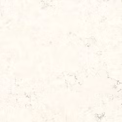 Classica Bianco Di Asiago 30x30 klinker