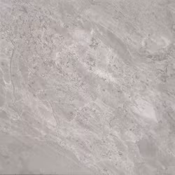 Marais Light Grey M66  60x60 cm klinker