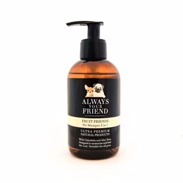 Always Your Friend Fruit n Friend Everyday 2 in 1 Schampo