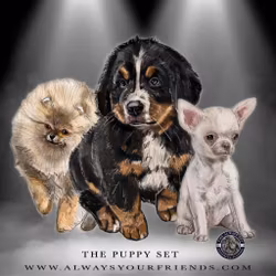 Always Your Friend Puppy Set