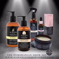 Always Your Friend Pom Show Set