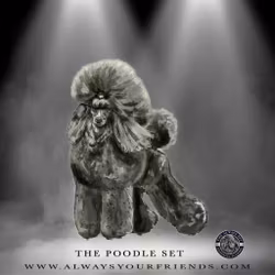 Always Your Friend Poodle Set