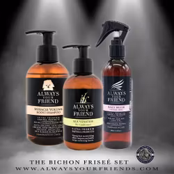 Always Your Friend Bichon Friseé Set