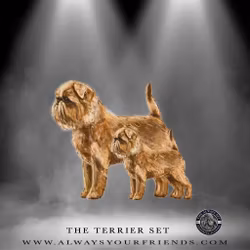 Always Your Friend Terrier Set