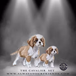 Always Your Friend Cavallier Set