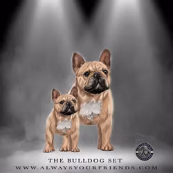 Always Your Friend Bulldog Set