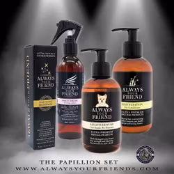 Always Your Friend Papillon Set