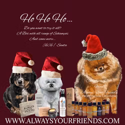 Always Your Friend Christmas Box