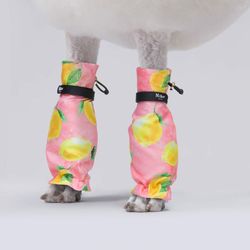 MILLOR DOG - PROTECTORS CITRUS SHORTS