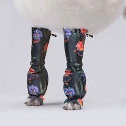 MILLOR DOG - PROTECTORS LILY SHORT