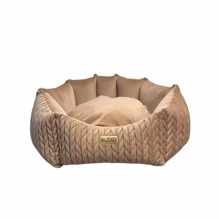 Always Dog Bed Magic Pink Round