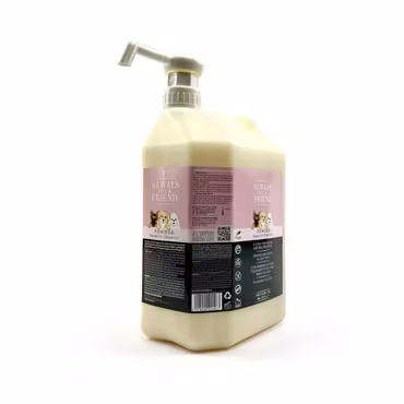 Always Your Friend - Family Powder Schampo 2 in 1