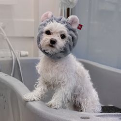 MILLOR DOG - TOWEL MOUSE