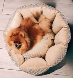 Always Dog Bed GG Round