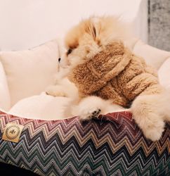 Always Dog Bed Missoni