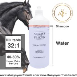 Always Black & White Coat Horse Kit
