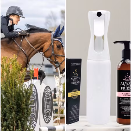 Competition Horse Kit