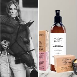 Always Horse Care Kit
