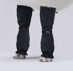 MILLOR DOG - PROTECTORS BLACK LONG