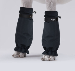 MILLOR DOG - PROTECTOR'S BLACK SHORTS