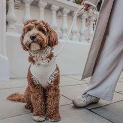 BY TEDDY - Boucle Harness Marshmallow