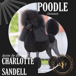 POODLE WEBINAR WITH CHARLOTTE SANDELL - THE POODLE QUEEN " PRE-RECORDED"